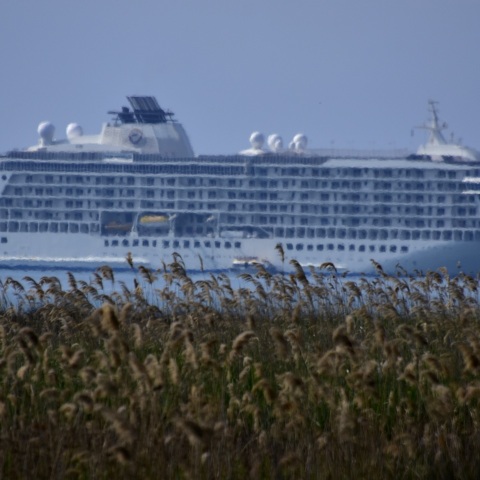 Θεσσαλονίκη: Στο λιμάνι της πόλης έδεσε το εντυπωσιακό κρουαζιερόπλοιο «The World» - Έχει μήκος πάνω από 196 μέτρα και διαθέτει 165 αυτόνομες κατοικίες. 