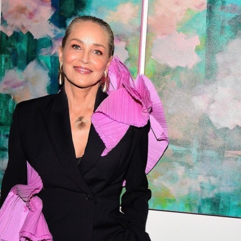 Σάρον Στόουν: Εγκαινιάστηκε η πρώτη της ατομική έκθεση ζωγραφικής στο Λος Άντζελες - Η σχέση της με τις εικαστικές τέχνες και το αναζωπυρωμένο ενδιαφέρον. 