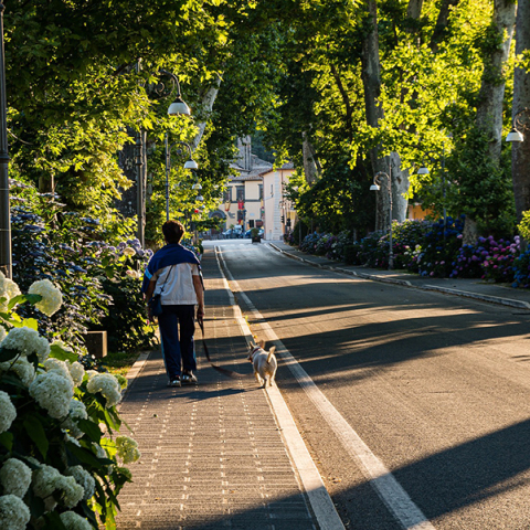 πράσινη μετάβαση των πόλεων