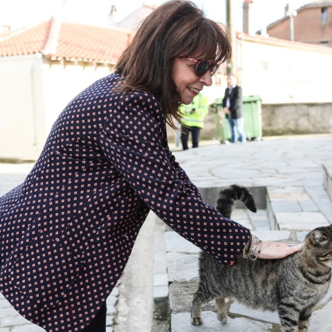 Κατερίνα Σακελλαροπούλου: Η ΠτΔ αναφέρθηκε στην Παγκόσμια Ημέρα Αδέσποτων Zώων - Ανάγκη να τους δείχνουμε καθημερινά το ενδιαφέρον και τον σεβασμό μας.