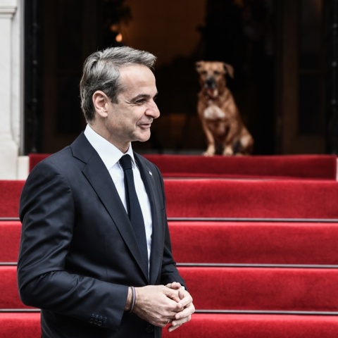 Ο Κυριάκος Μητσοτάκης με τον αδέσποτο σκύλο που υιοθέτησε το Μέγαρο Μαξίμου