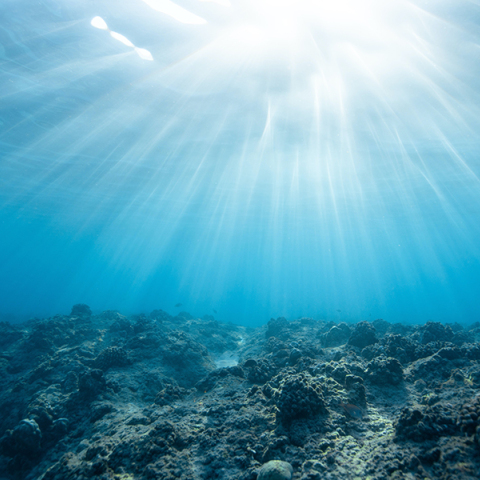 γαλάζια οικονομία