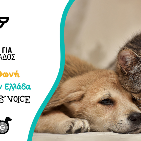 2023_04_04_pet_city_pagosmia_hmera_adespoton_1