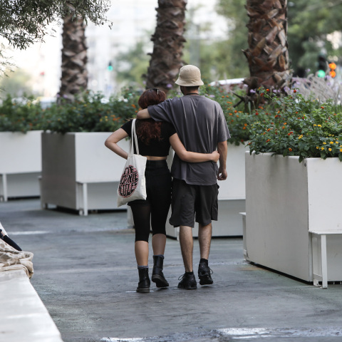 Φοίνικες στην Πανεπιστημίου 