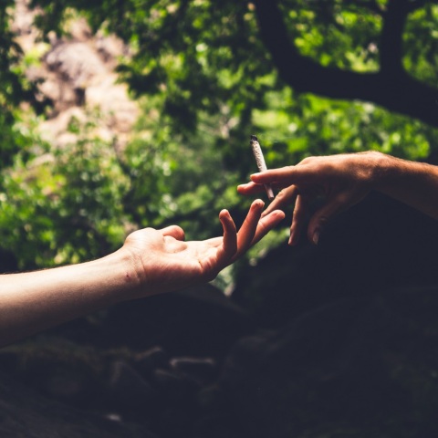 Γερμανία: Η κυβέρνηση μετριάζει τα σχέδιά της να νομιμοποιήσει την κάνναβη έπειτα από συνομιλίες στις Βρυξέλλες - Με ποιους όρους θα επιτρέπεται η χρήση της.