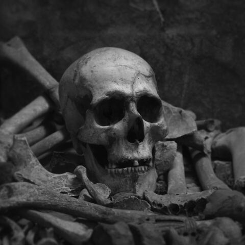 Ανθρώπινα οστά