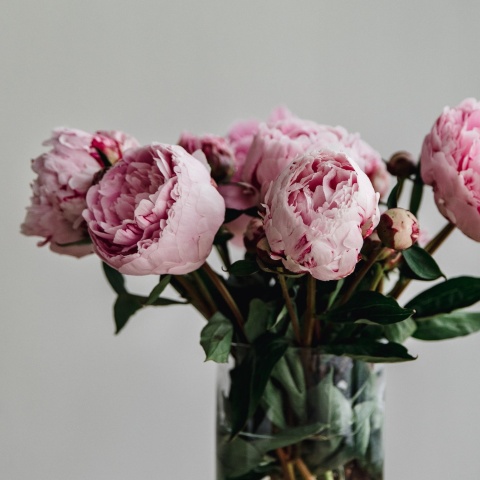 Εορτολόγιο: ένα μπουκέτο λουλούδια για τους εορτάζοντες