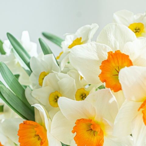 Εορτολόγιο: ένα μπουκέτο λουλούδια για τους εορτάζοντες