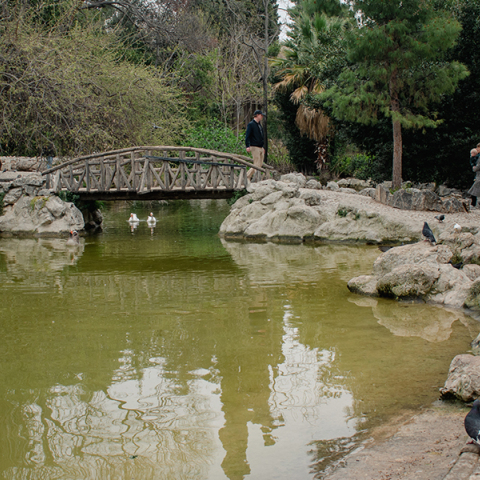 Εθνικός Κήπος