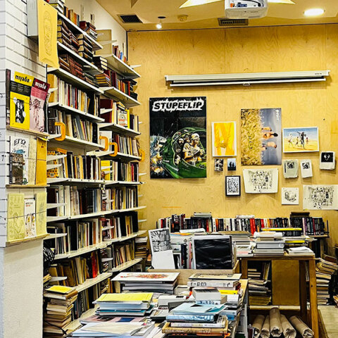 Το βιβλιοπωλείο Μετεωρίτης. 