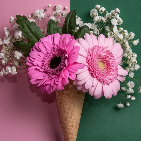 Ποιοι γιορτάζουν σήμερα 23 Απριλίου; Το εορτολόγιο της Athens Voice σου τους θυμίζει. Μην ξεχάσεις να τους δώσεις τις καλύτερες ευχές σου!