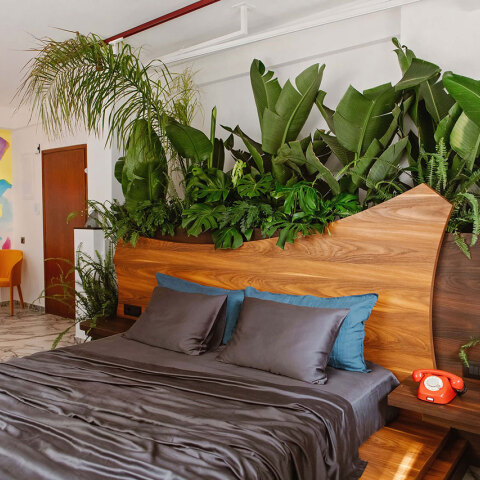 Το pop up project “Rainforest suite” του Αχιλλέα Κρητικού