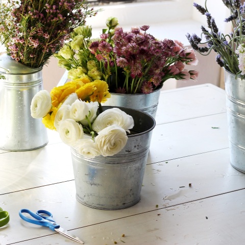 nature-blossom-plant-white-texture-leaf-1074251-pxhere_com