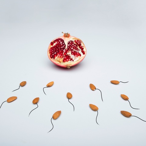 Ολλανδία: Απαγορεύτηκε να συνεχίσει τις δωρεές σπέρματος 41χρονος - Έχουν γεννηθεί 500 έως 600 παιδιά με τη συνδρομή του.