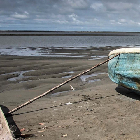 Πιλάρ Κιντάνα, «Η σκύλα»