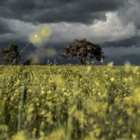 Καιρός - Συννεφιά