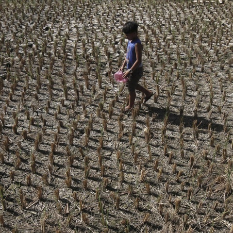 Παιδί σε χωράφι με εμφανή τα σημάδια της ξηρασίας