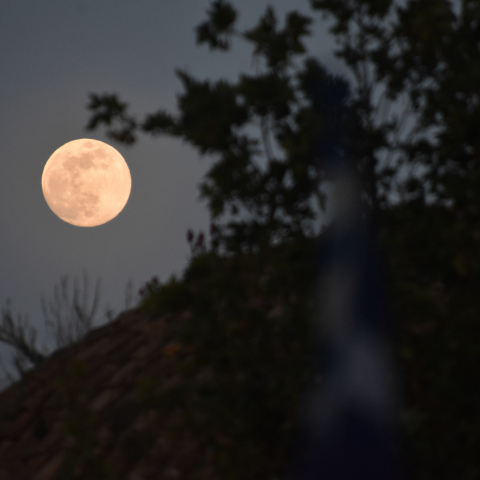 Πανσέληνος Μαΐου