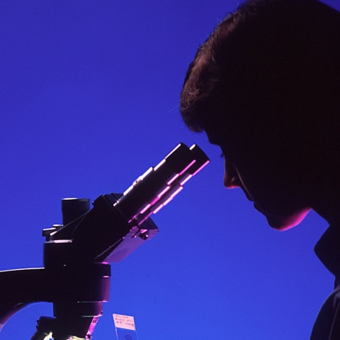 Επιστήμονας κοιτά στο μικροσκόπιο