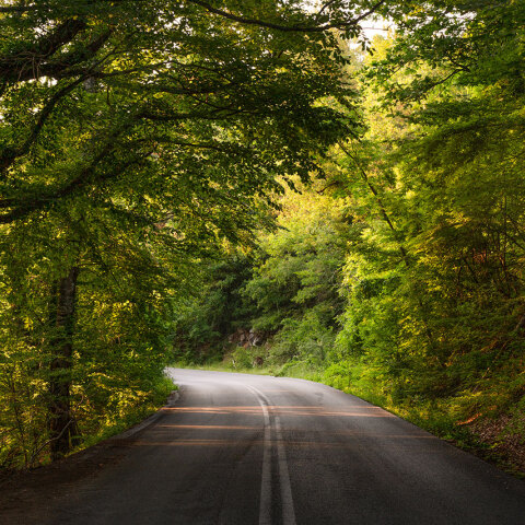 Φωτογραφία δρόμου με πράσινα δέντρα δεξιά και αριστερά