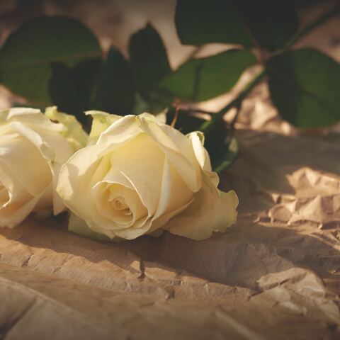 Καλλιθέα - Το τροχαίο δυστύχημα με θύμα τη 12χρονη μαθήτρια καταγράφηκε τη Δευτέρα