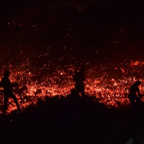 Δασική Πυρκαγιά