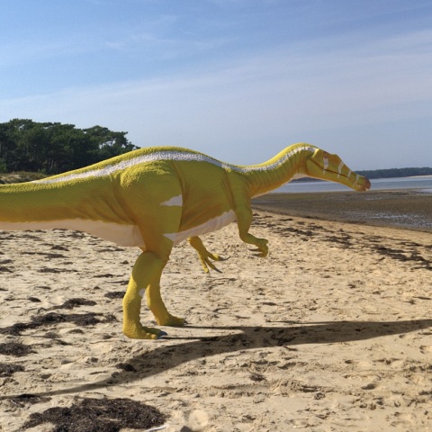 Παλαιοντολογία: Απολιθώματα αποκαλύπτουν νέο είδος δεινόσαυρου στην Ισπανία - Οι επιστημονικές εκτιμήσεις για την προέλευσή του.