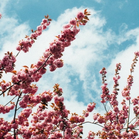 Εορτολόγιο