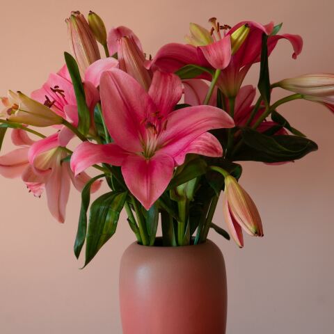 Λίγα λουλούδια σε γλαστράκι για τους εορτάζοντες σήμερα