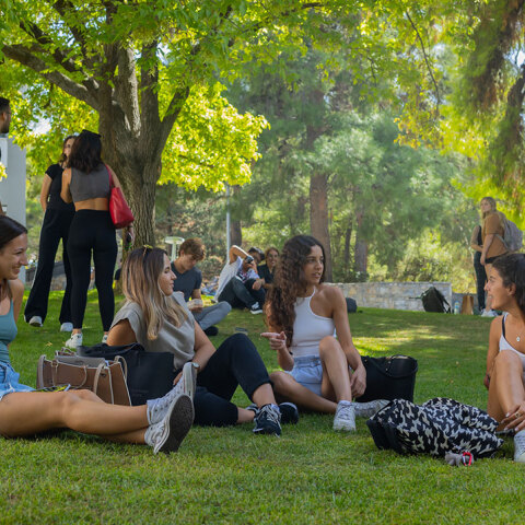 Φοιτητές και φοιτήτριες καθισμένοι στο γρασίδι