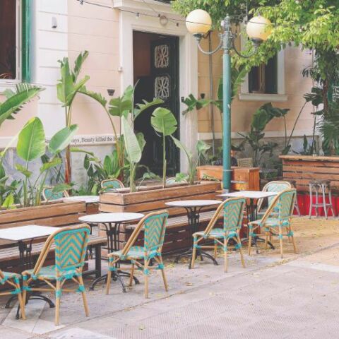 BEAUTY KILLED THE BEAST