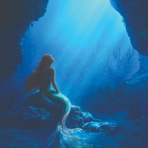 Η μικρή γοργόνα 