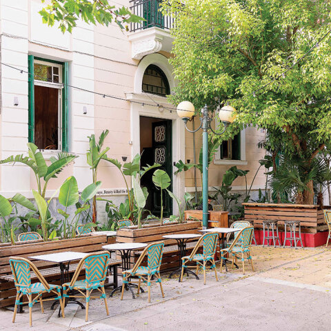 Beauty killed the Beast