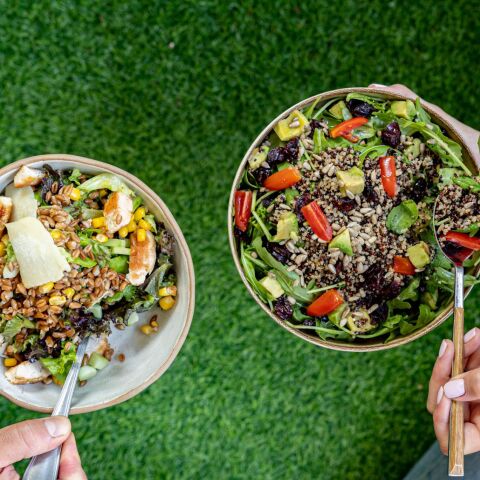 Katsika Bostanic Gourmet