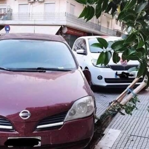 Μηνυτήρια αναφορά κατέθεσε ο δήμος Θεσσαλονίκης σε βάρος ασυνείδητου οδηγού που πάρκαρε το αυτοκίνητο του σε δενδροδόχο, προκαλώντας σοβαρές φθορές.