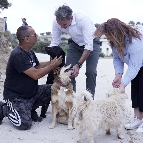 Κυριάκος Μητσοτάκης: Επίσκεψη του προέδρου της Νέας Δημοκρατίας στο καταφύγιο ζώων Takis Shelter στην Ιεράπετρα - Ενημερώθηκε για τους στόχους και τη δράση του.