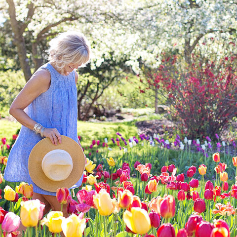 Γυναίκα με άσπρα μαλλιά ανάμεσα σε τουλίπες