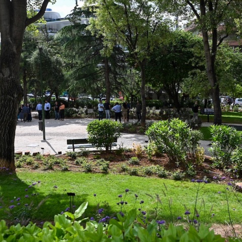 Δήμος Αθηναίων: Νέα όψη για την πλατεία «Σοφία Βέμπο» στους Αμπελόκηπους - Ενισχύθηκε το πράσινο με 1.120 φυτά - Οικολογικό αποτύπωμα για την ευρύτερη περιοχή.