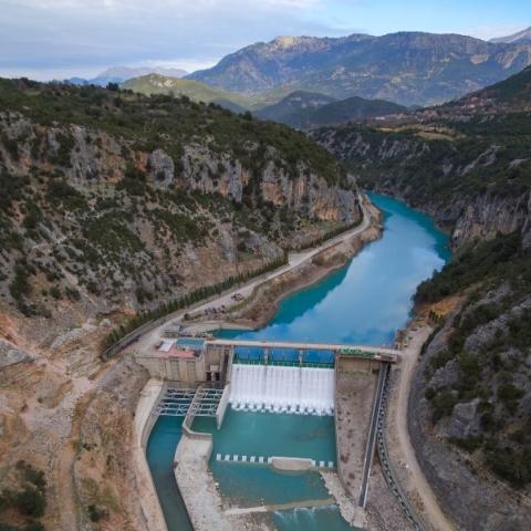Δαφνοζώναρα