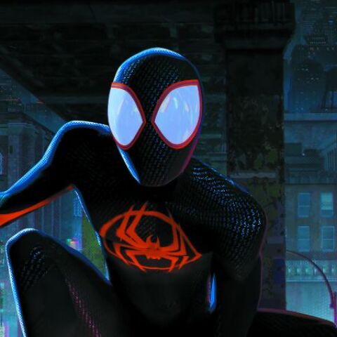 Spider-Man: Ακροβατώντας στο αραχνο-σύμπαν