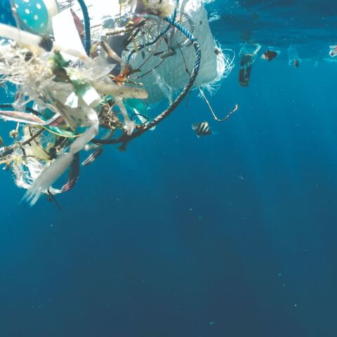 Η απειλή της θαλάσσιας ρύπανσης