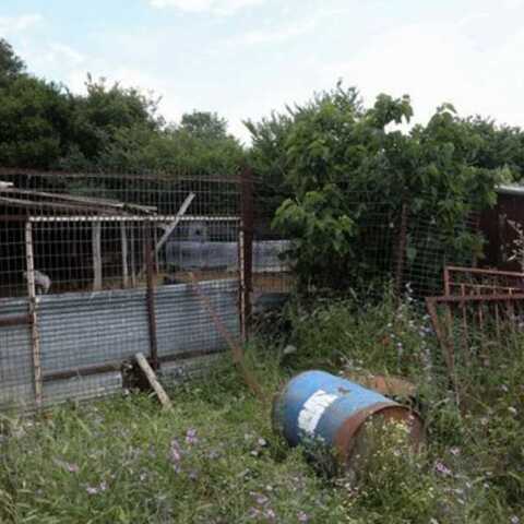 Καβάλα - Ποιμνιοστάσιο της 68χρονης