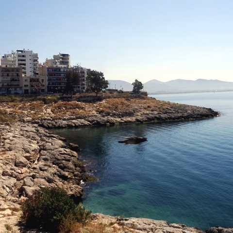 Απόπειρα βιασμού 17χρονης στην παραλία Φρεαττύδας - Λιθοβόλησαν τον 22χρονο σύντροφό της - Ξυλοκόπησαν 15χρονο που πήγε να βοηθήσει οι Αιγύπτιοι δράστες.