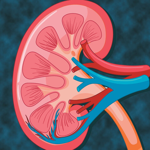 Νέα εποχή στον καρκίνο του νεφρού