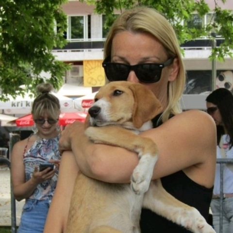 Κομοτηνή: Αδέσποτα κουταβάκια που ζητούν μια ζεστή αγκαλιά συγκεντρώθηκαν στην κεντρική πλατεία - Το θέμα των στειρώσεων και ο «φαύλος κύκλος» της εγκατάλειψης.
