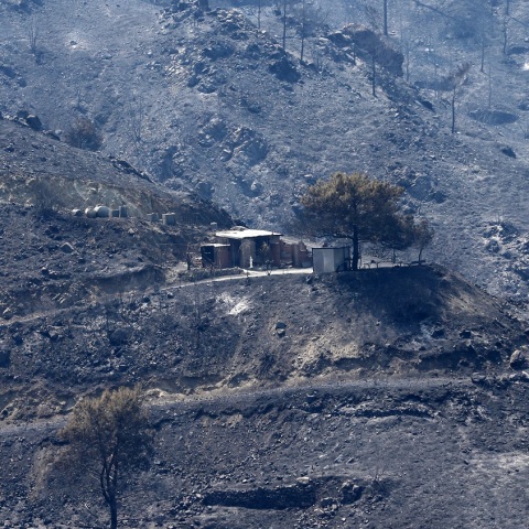 Κύπρος: Σε οχτώ χρόνια κάθειρξης καταδίκασε το Κακουργιοδικείο Λεμεσού 69χρονο αγρότη για τη φονική πυρκαγιά του 2021 - «Πρωτόγνωρες οι συνέπειές της».