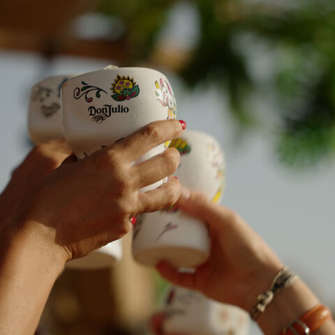 Don Julio Paloma