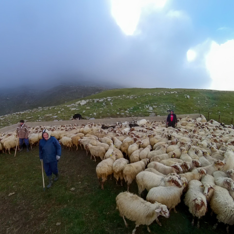 Τι είναι αυτό το Μπούτσκο; Μια νέα VR ταξιδιωτική περιήγηση στον Μπάρο