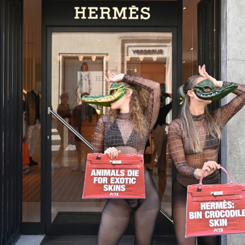 Η ιδρύτρια της PETA θέλει να γίνει τσάντα: Όταν πεθάνει θα δωρίσει το δέρμα της στην Hermès