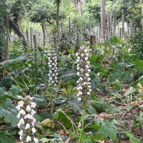 Από το Πεδίον του Άρεως στη Φωκίωνος Νέγρη: Η προσωπική διαδρομή του Κωνσταντίνου Ματσούκα 